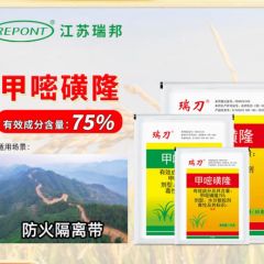瑞邦瑞刀75%甲嘧磺隆除草烂根剂官方正品防火隔离带公路铁路专用