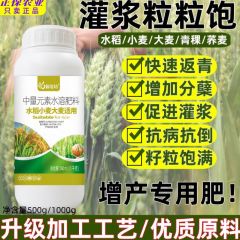 水稻小麦叶面肥料青稞大麦灌浆返青分蘖粒粒饱增产绿叶水溶肥荞麦